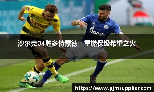 沙尔克04胜多特蒙德，重燃保级希望之火