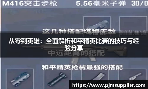 从零到英雄：全面解析和平精英比赛的技巧与经验分享
