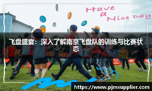 飞盘盛宴：深入了解南京飞盘队的训练与比赛状态