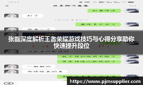 张磊深度解析王者荣耀游戏技巧与心得分享助你快速提升段位