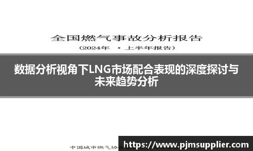 数据分析视角下LNG市场配合表现的深度探讨与未来趋势分析
