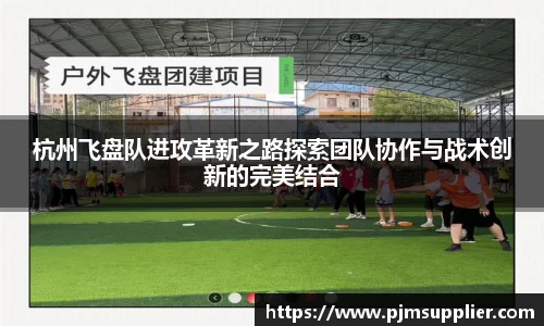 杭州飞盘队进攻革新之路探索团队协作与战术创新的完美结合