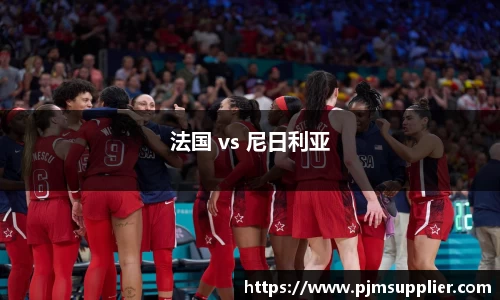 法国 vs 尼日利亚