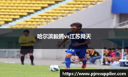 哈尔滨毅腾vs江苏舜天