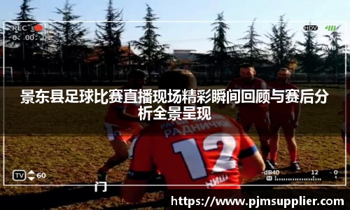 景东县足球比赛直播现场精彩瞬间回顾与赛后分析全景呈现