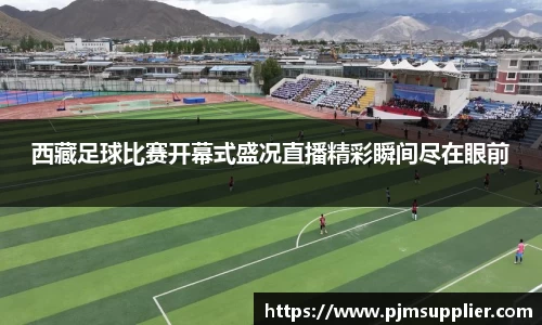 西藏足球比赛开幕式盛况直播精彩瞬间尽在眼前