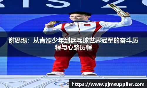 谢思埸：从青涩少年到乒乓球世界冠军的奋斗历程与心路历程