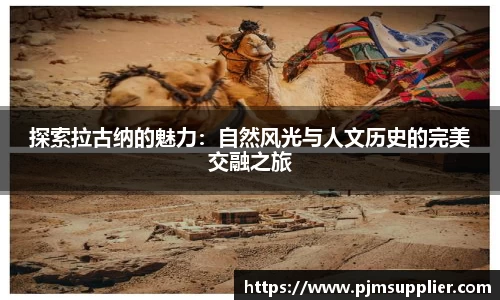 bsports必一运动