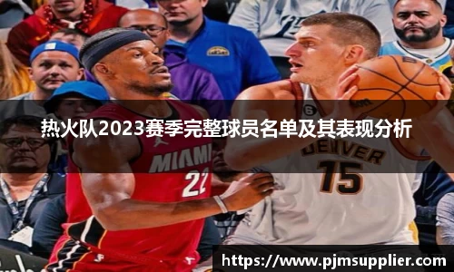 热火队2023赛季完整球员名单及其表现分析