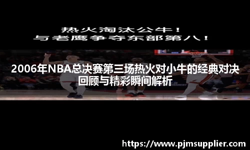 2006年NBA总决赛第三场热火对小牛的经典对决回顾与精彩瞬间解析