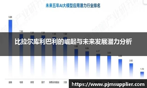 比拉尔库利巴利的崛起与未来发展潜力分析