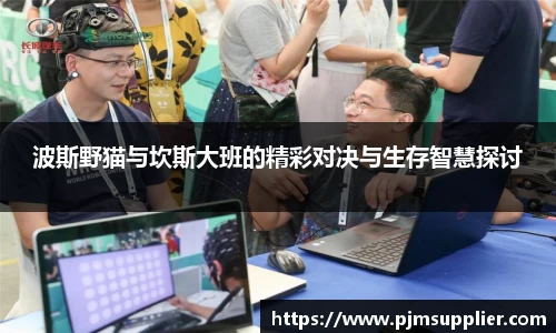 波斯野猫与坎斯大班的精彩对决与生存智慧探讨