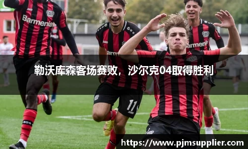勒沃库森客场赛败，沙尔克04取得胜利